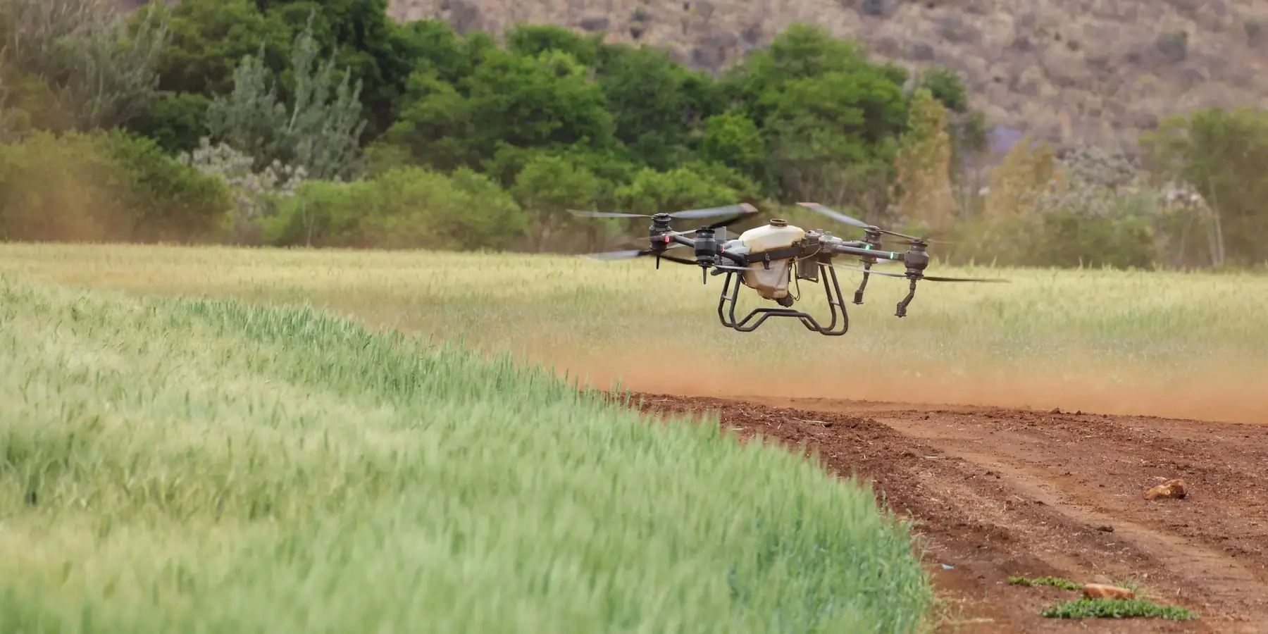 Dron sobrevolando un cultivo
